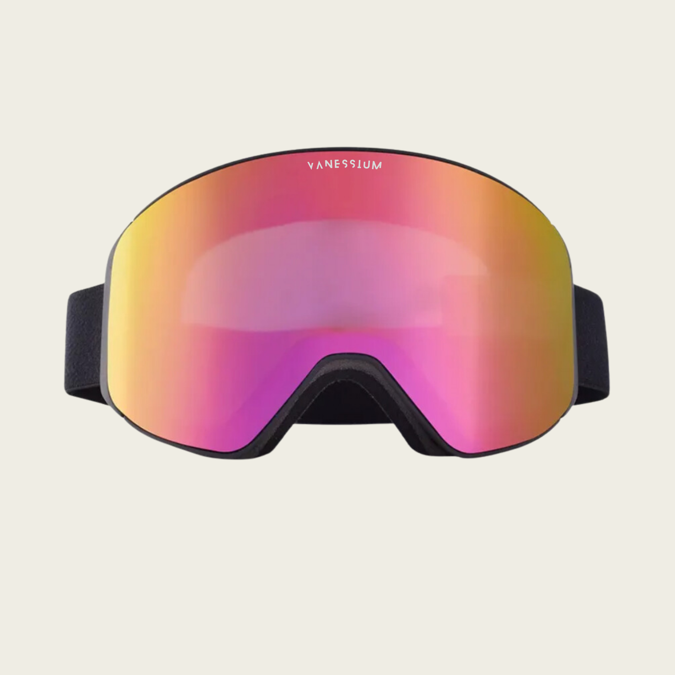 Ski Goggles